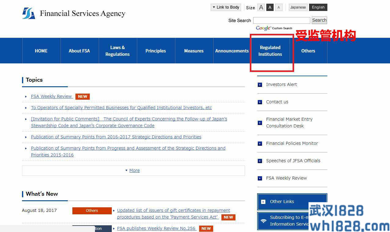 日本FSA监管查询