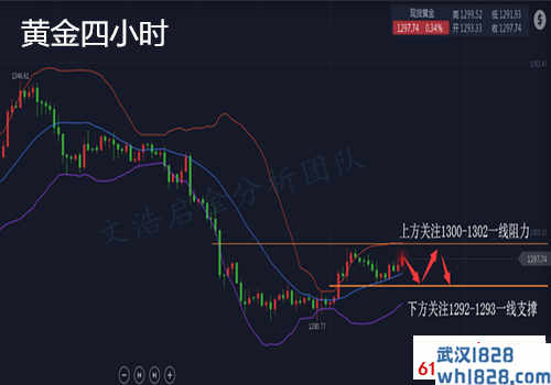 3.13黄金涨跌反复无常，凌晨脱欧如何操作？