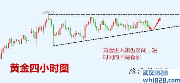 1.18黄金原油走势分析,早间如何操作？