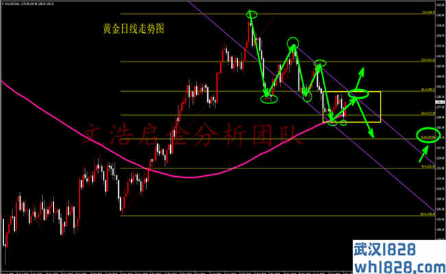 5.5黄金多头势如破竹 黄金开盘操作策略