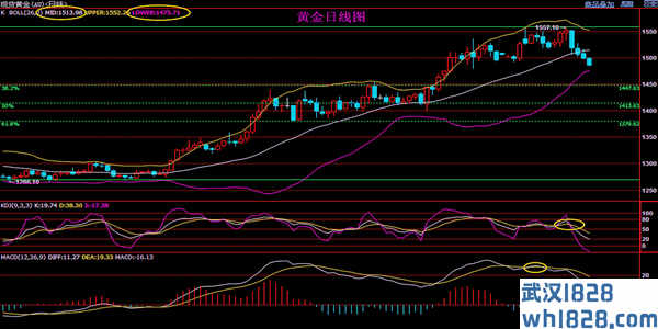 黄金后市恐遭更大跌势9.11黄金原油今天最新操作策略解套