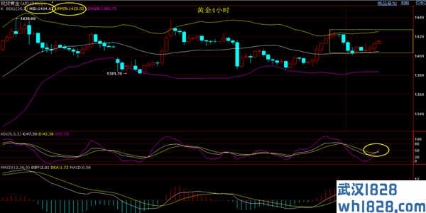7.15黄金还会上涨吗,今日黄金原油走势分析最新操作建议