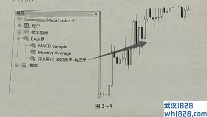 MT4和EA的安装