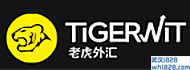 TigerWit外汇，TigerWit集团外汇交易平台，TigerWit外汇平台怎么样？