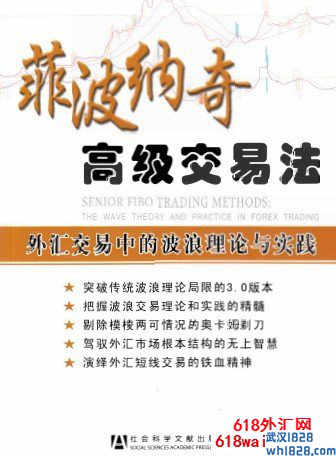 《菲波纳奇高级交易法-外汇交易中的波浪理论与实践》下载