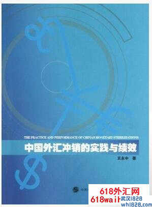 《中国外汇冲销的实践与绩效》炒外汇书籍下载