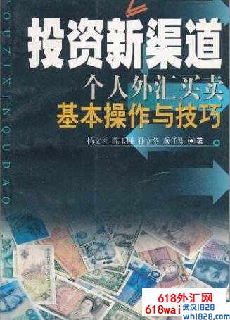 《投资新渠道：个人外汇买卖基本操作与技巧》炒外汇书籍下载！