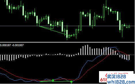 双线MACD MT4指标下载!