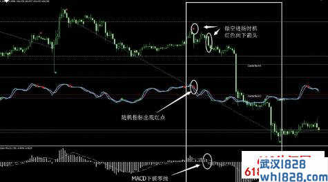 震荡指标,戈恩MACD,随机指标ZigZag联盟指标下载