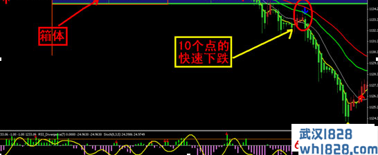 富甲天下专业版MT4系统下载