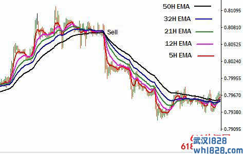 5EMAs EA外汇交易系统售价97美元下载!