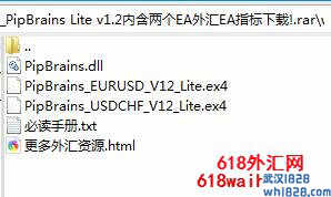 PipBrains Lite v1.2内含两个外汇EA下载