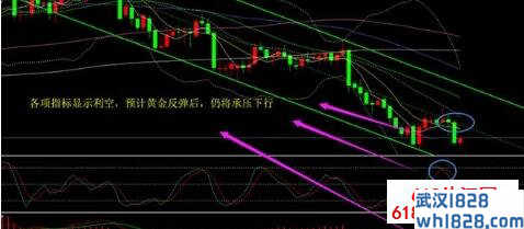 杨锦鑫:黄金低位盘整,止跌之后继续看涨