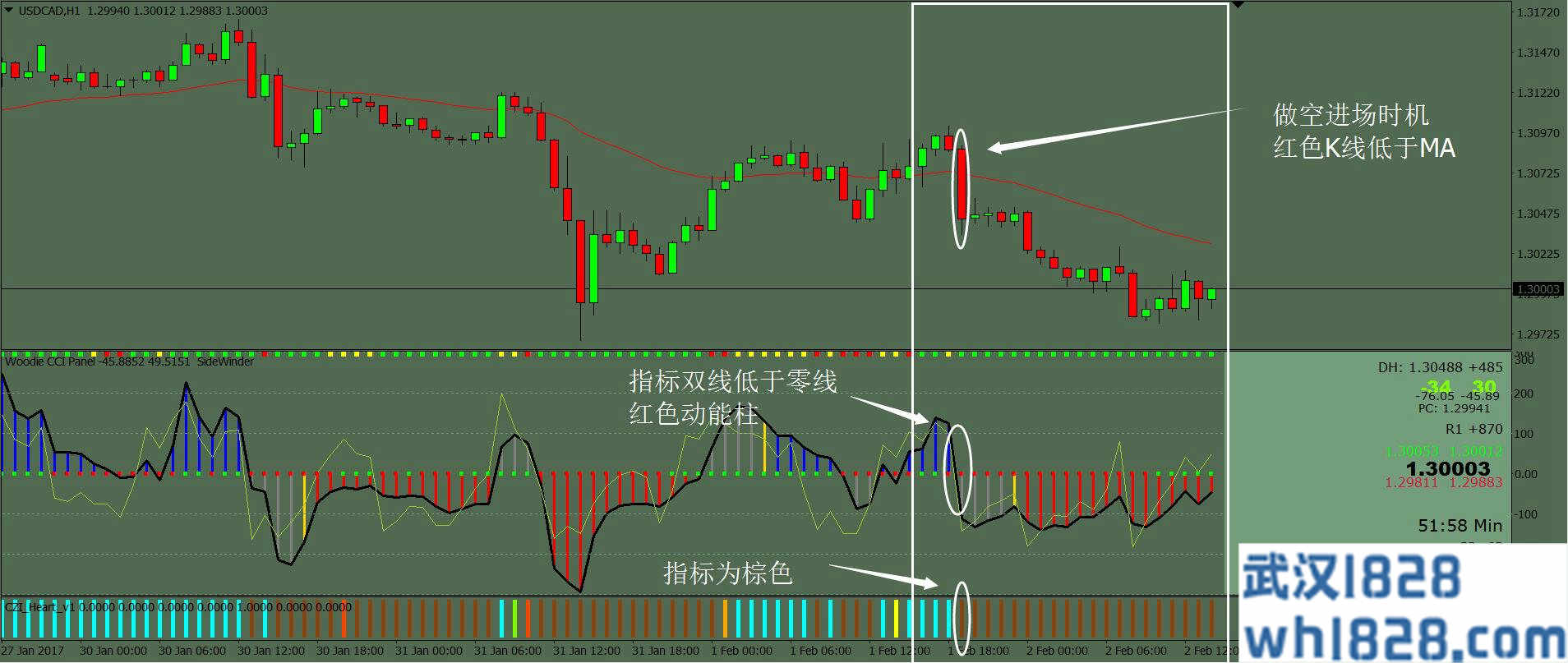 Woodie新指标测试,效果显著MT4下载