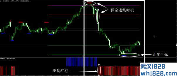 支撑阻力外汇交易系统MT4下载