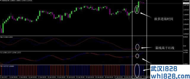 TG Strategy外汇交易系统下载