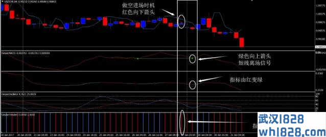 喷泉外汇交易系统下载