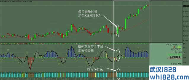 伍迪核心外汇交易系统下载