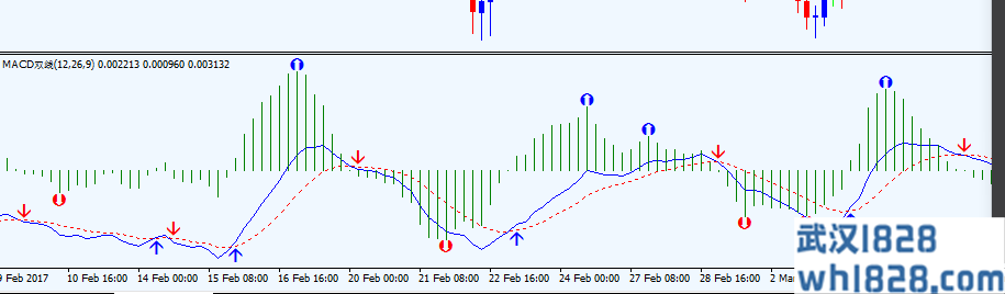 MACD双线加顶底点下载