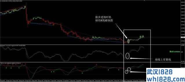 Fx Divergence外汇交易系统下载。