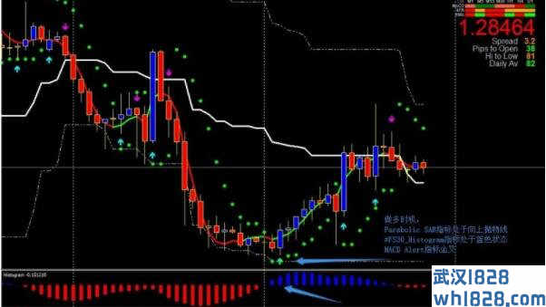 Miracle of Trading外汇交易系统下载