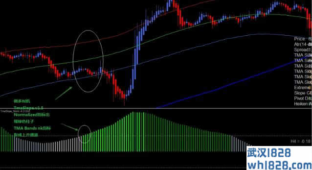NK极限TMA波段外汇交易系统下载