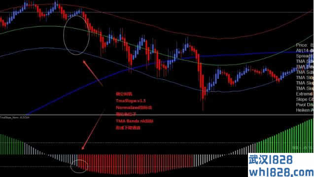 NK极限TMA波段外汇交易系统下载