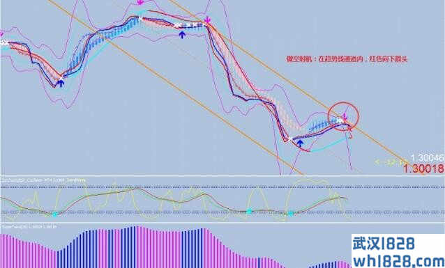 1H e 4H trader外汇交易系统下