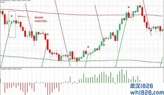 Pama Gann Grid外汇交易系统下载