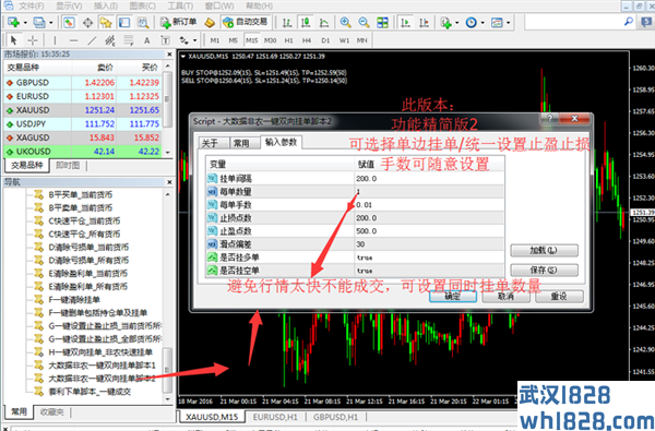 大行情非农一键双向挂单脚本/两款版本