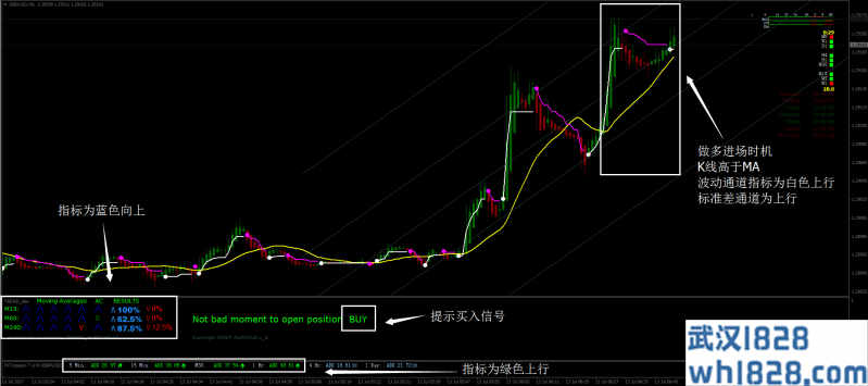 专业矩阵外汇交易系统下载