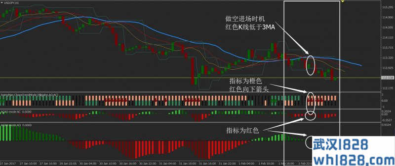 比尔威廉斯外汇交易系统II