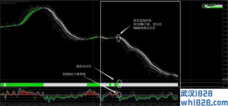 绿火外汇交易系统