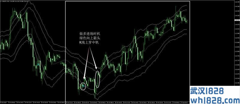 裸熊形态外汇交易系统