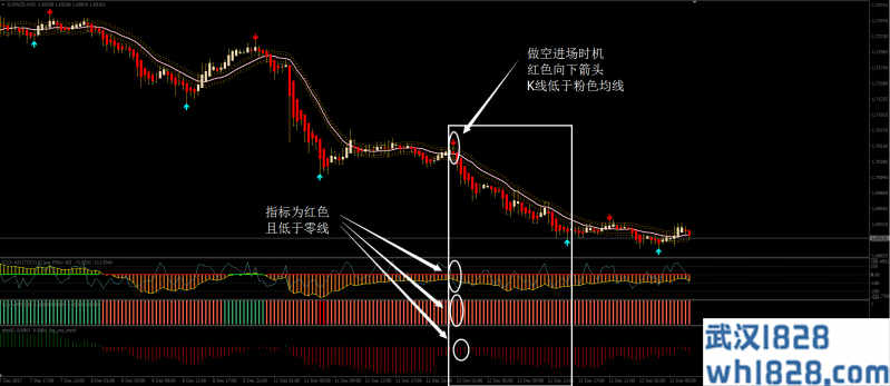 亚龙外汇交易系统下载