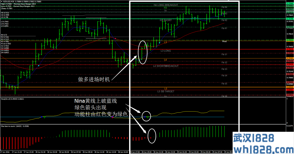 CATFX50外汇交易系统下载