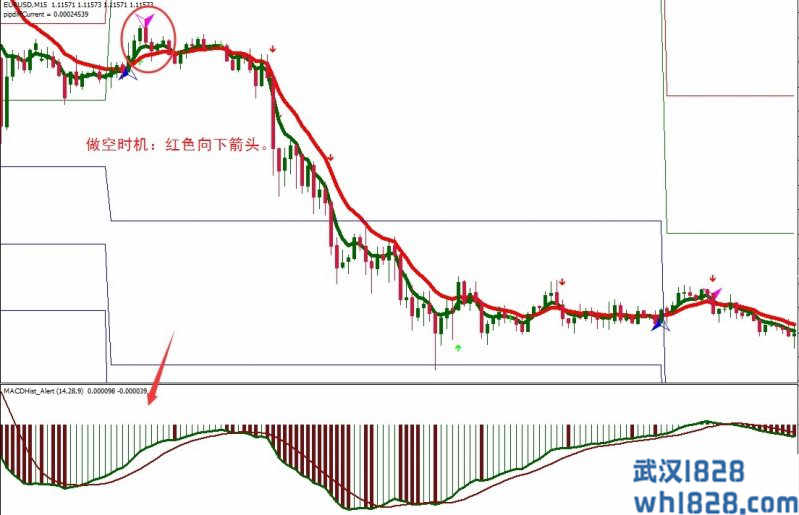 Sidus Bago with Sidus外汇交易系统