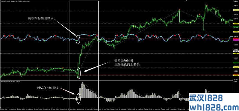 Tiong7外汇交易系统下载