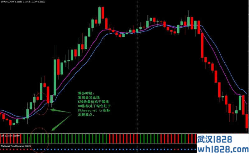 The Secret Trend外汇交易系统