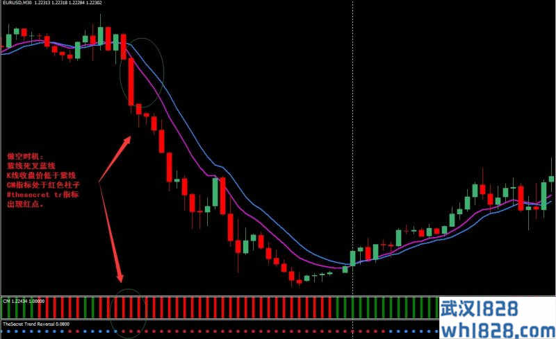 The Secret Trend外汇交易系统