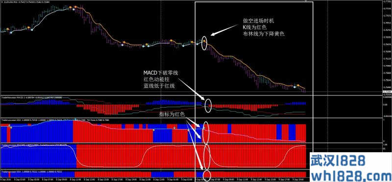 Merdekerama外汇交易系统下载