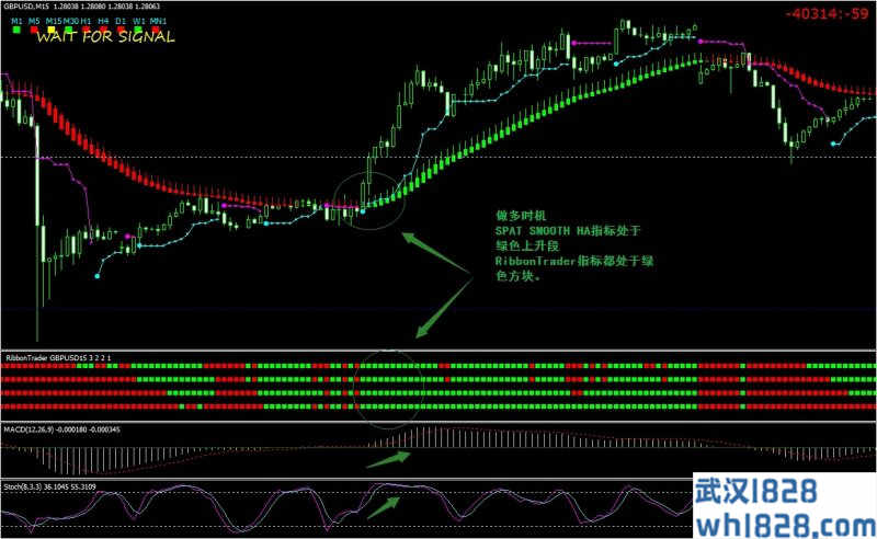 Ribbon Trader MACD and Stochastic外汇交易系统