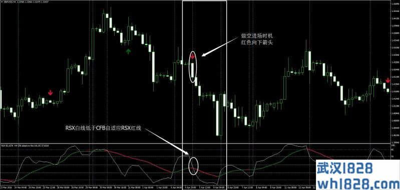 先进RSX策略外汇交易系统下载