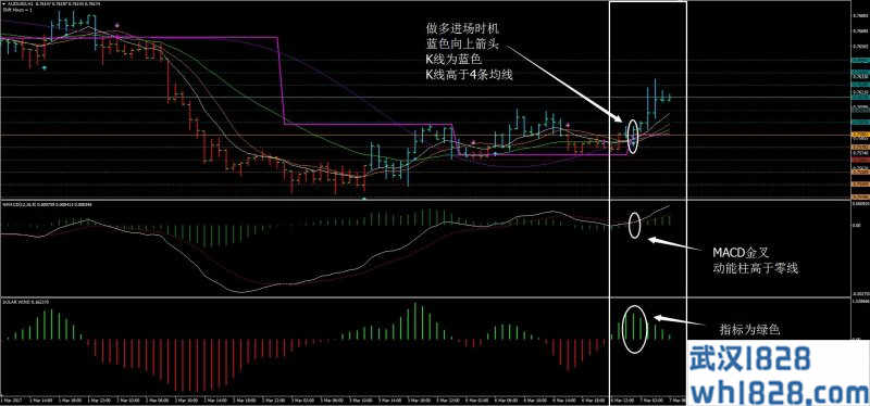 Bulut外汇交易系统下载