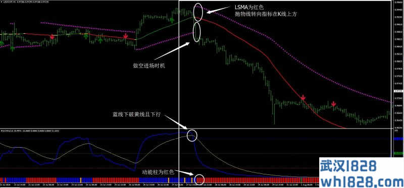 RSIOMA过滤外汇交易系统下载