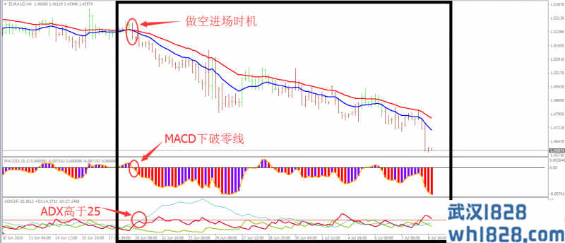 白趋势外汇交易系统下载