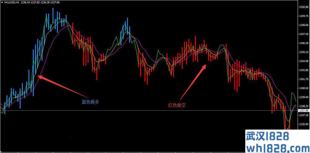 趋势一目了然MT4分析模板下载