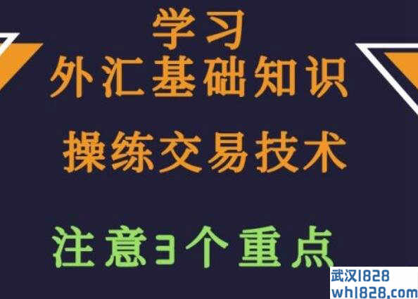 外汇入门知识,外汇入门应该从哪开始学?