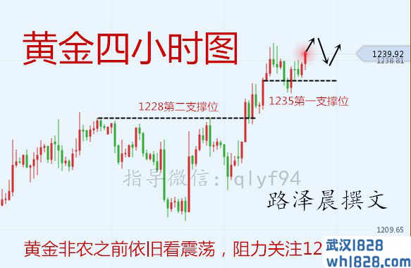 路泽晨：12.6重走去年路？黄金原油操作分析解套