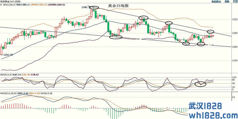 5.10黄金继续维持盘整原油低位震荡日内黄金原油走势